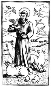 st francis