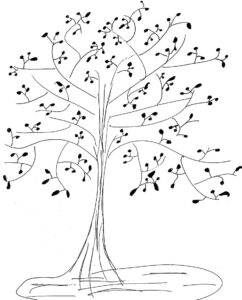 tree drawing