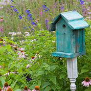 birdhouse