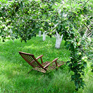 lawn chair
