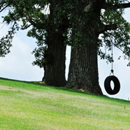 swing
