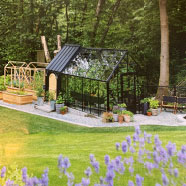 greenhouse